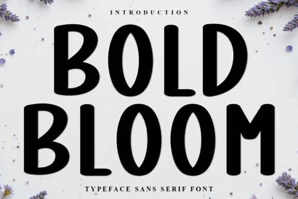 Bold Bloom: A Soft Display Font for Editorial Design